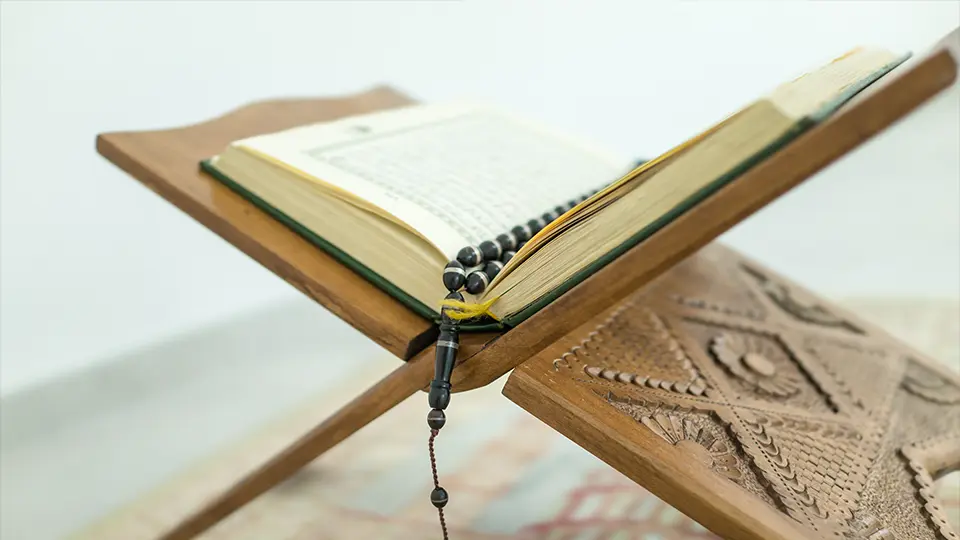 Learn Quran Tafseer Online